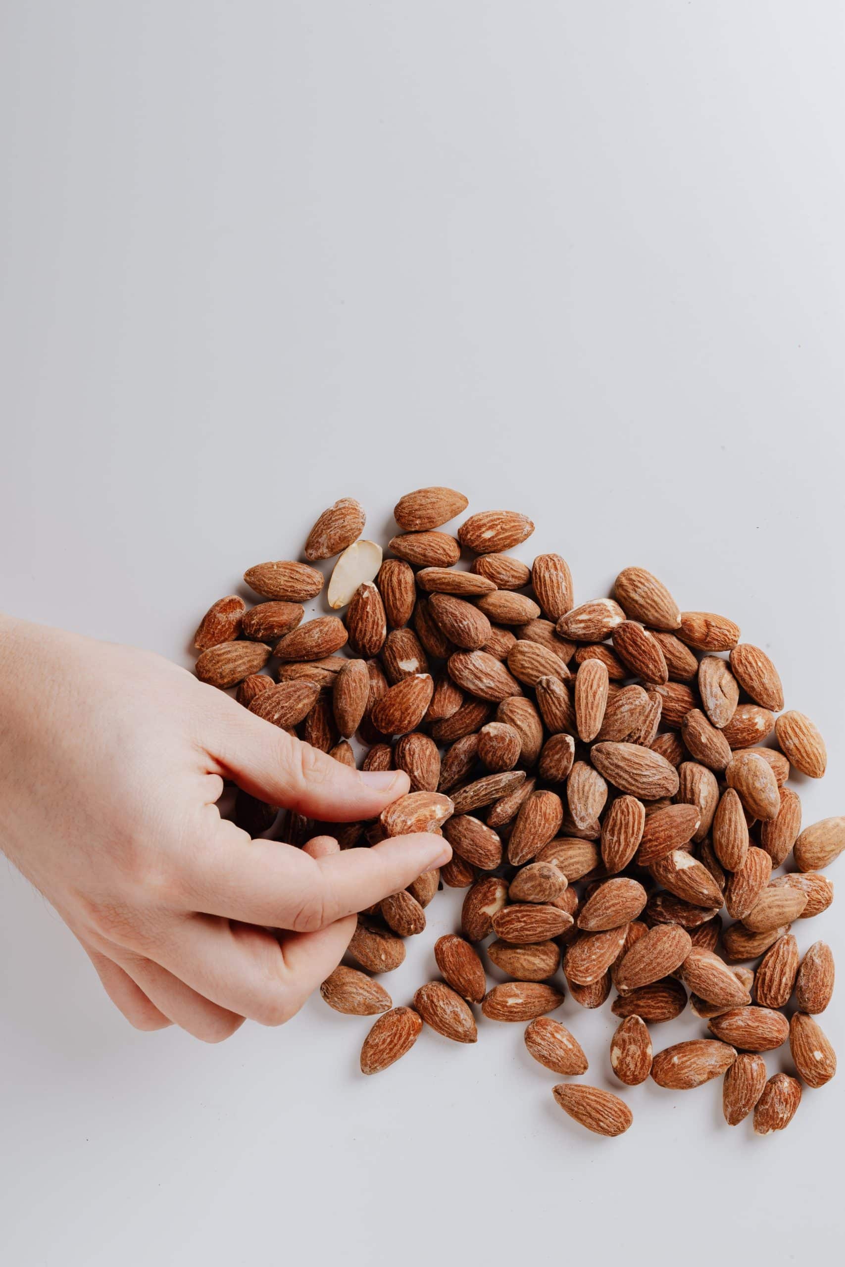 Nüsse sind High Protein Quellen und in vielen High Protein Produkten verarbeitet