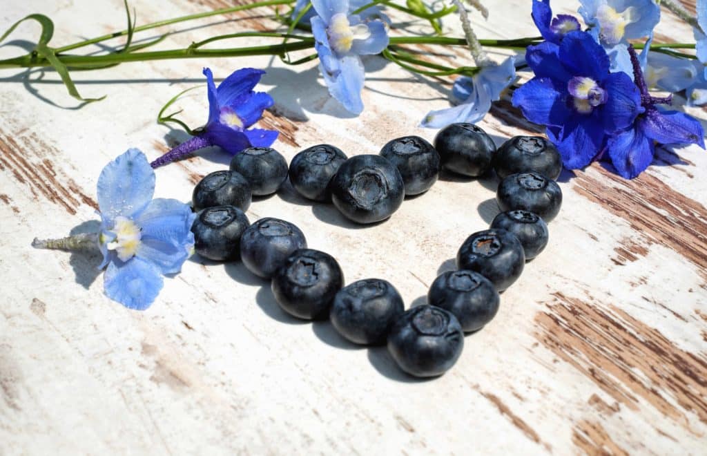 Heidelbeeren verbessern die Sehkraft