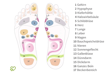 Fußzonen für eine Fußreflexzonenmassage