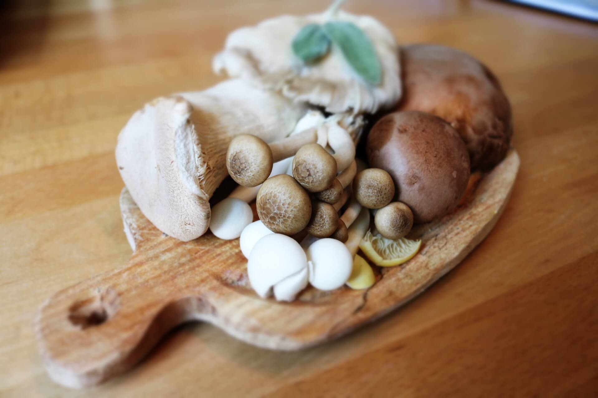 Trockene Pilze sind im Winter besonders lecker